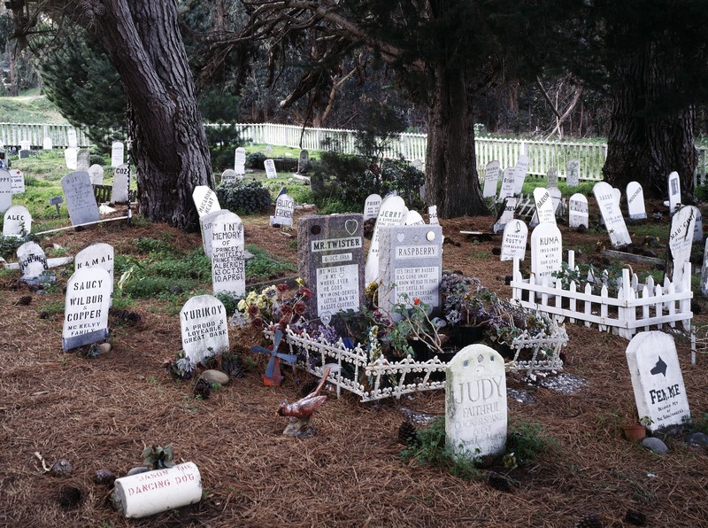 Carol M. Highsmith, Public domain, via Wikimedia Commons