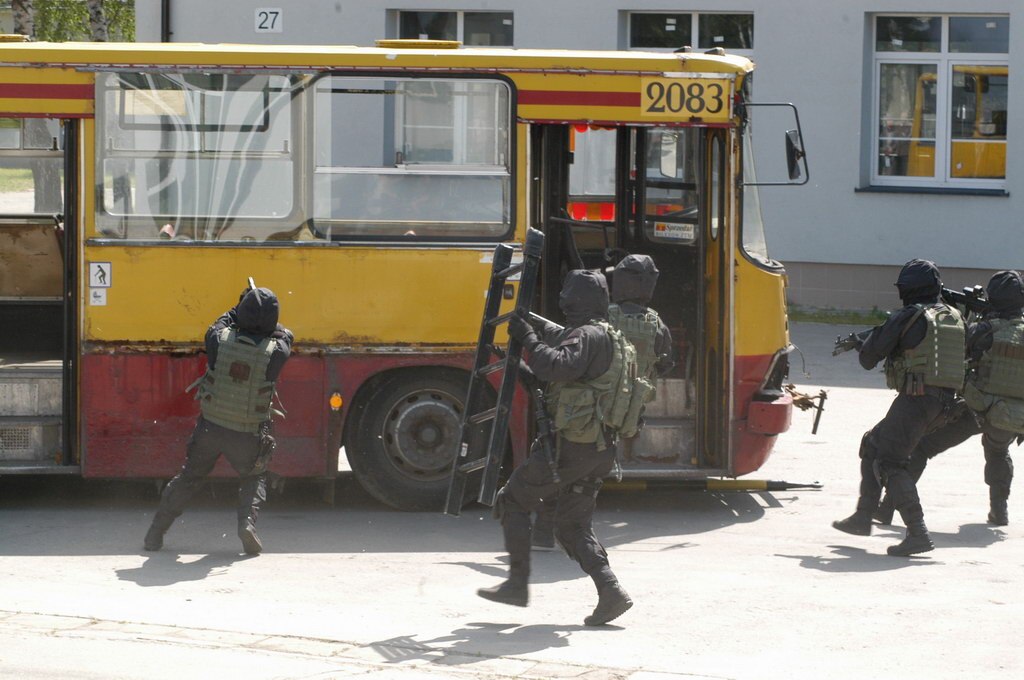 Ministerstwo Obrony Narodowej, Attribution, via Wikimedia Commons