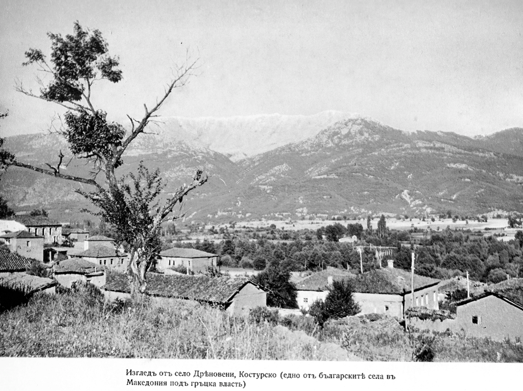 Drenowe, CC BY-SA 3.0 via Wikimedia Commons