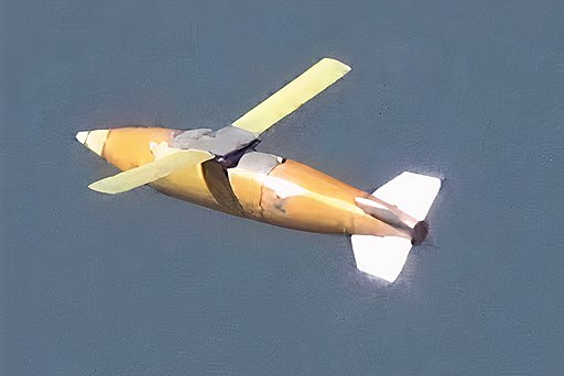 DRDO, Government of India, GODL-India <https://data.gov.in/sites/default/files/Gazette_Notification_OGDL.pdf, via Wikimedia Commons