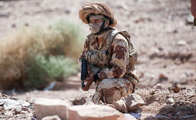  / IDF Spokesperson's Unit